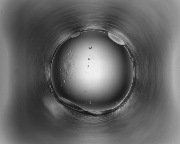 X0000096201241200801181334