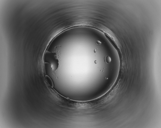 X0000096201242200801181334