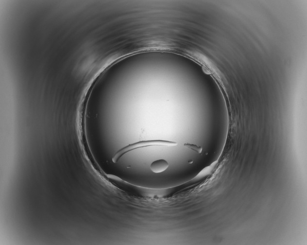 X0000096201243200801181334