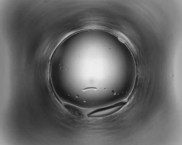 X0000096201244200801181334