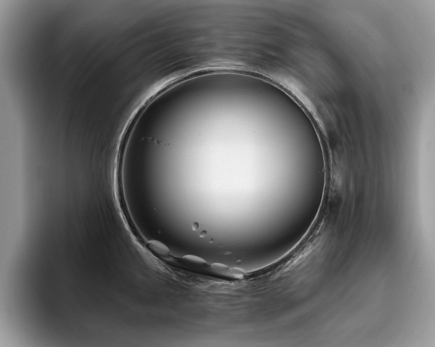 X0000096201245200801181334