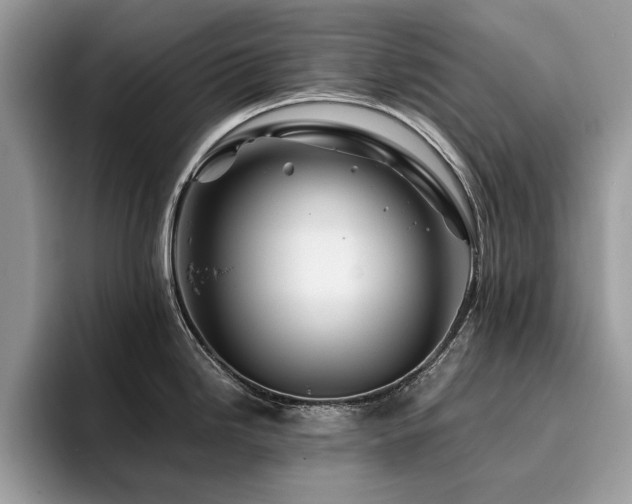 X0000096201246200801181334