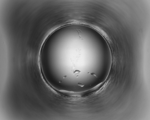 X0000096201247200801181335