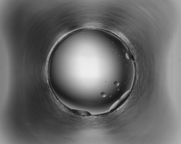 X0000096201248200801181335