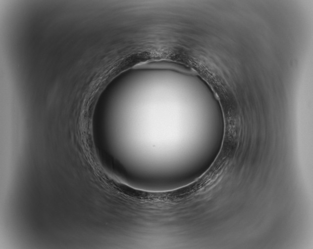 X0000096201249200801181334