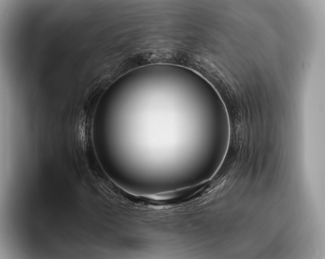 X0000096201250200801181334