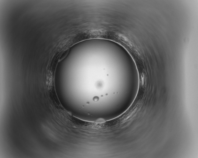 X0000096201251200801181334