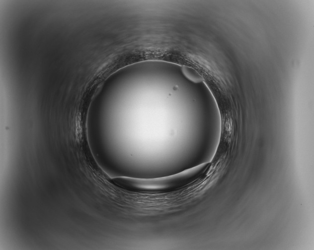 X0000096201252200801181334