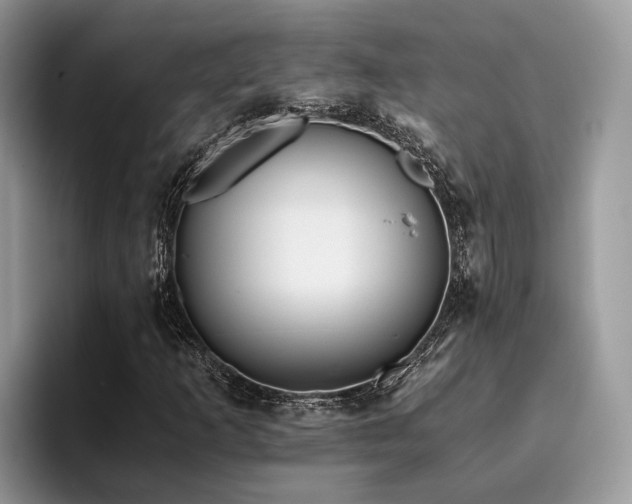 X0000096201253200801181334