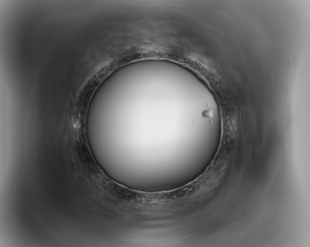 X0000096201254200801181334