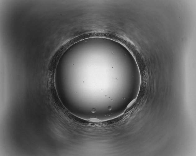 X0000096201255200801181334