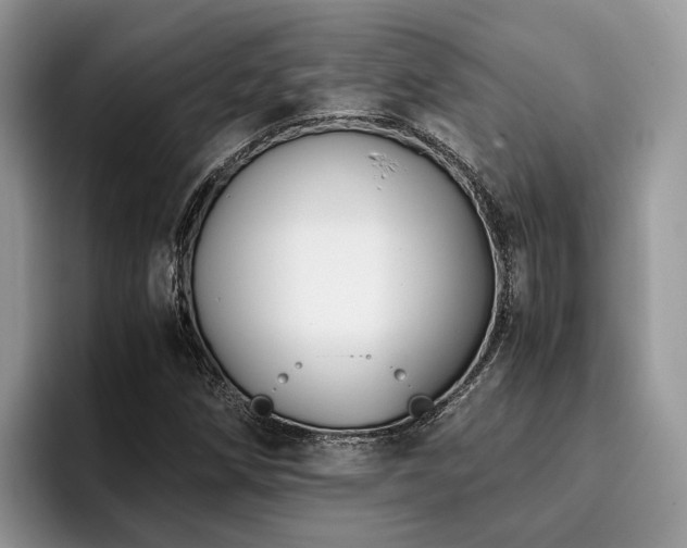 X0000096201258200801181334