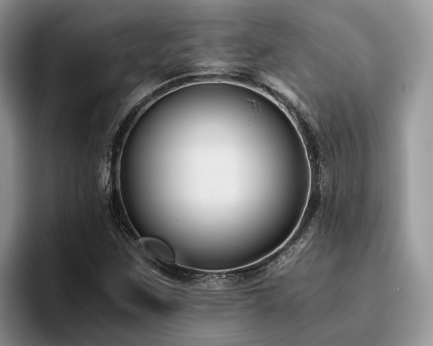 X0000096201259200801181334