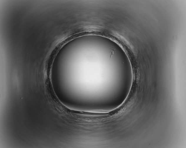 X0000096201261200801181334