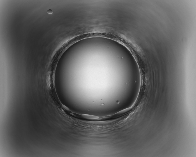 X0000096201262200801181334