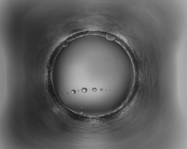 X0000096201263200801181334