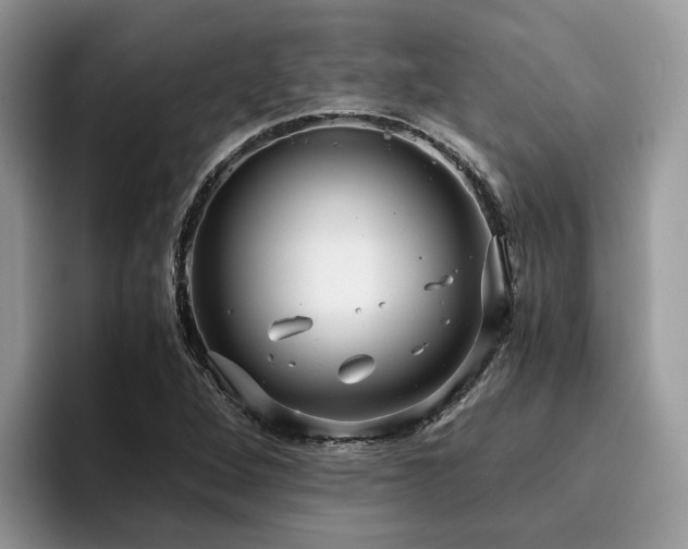 X0000096201264200801181334