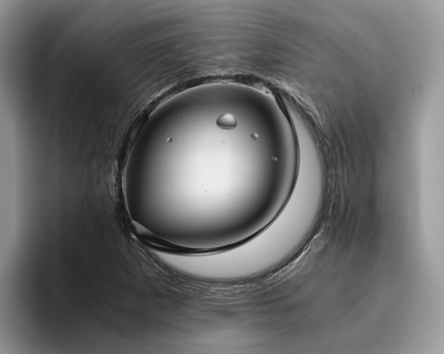 X0000096201265200801181334