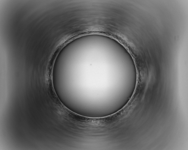 X0000096201266200801181334