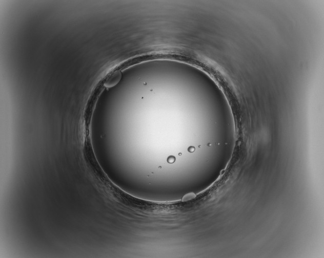 X0000096201267200801181334