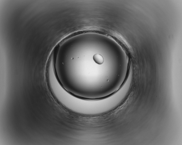X0000096201268200801181334