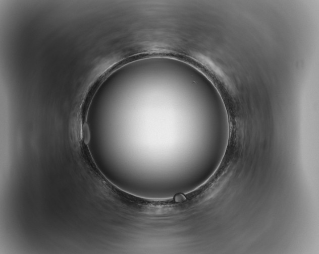 X0000096201269200801181334