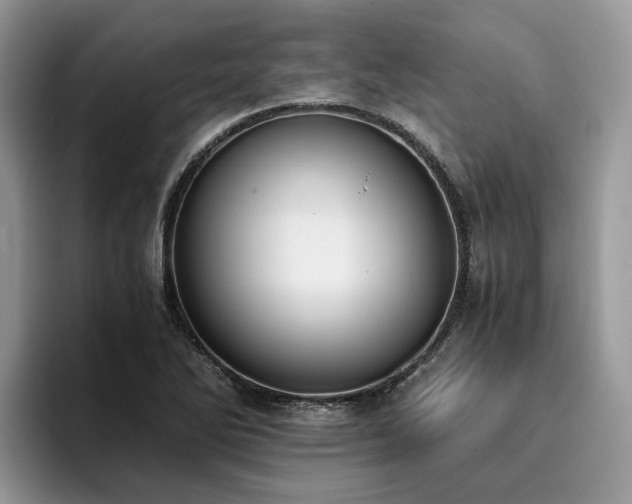 X0000096201270200801181334