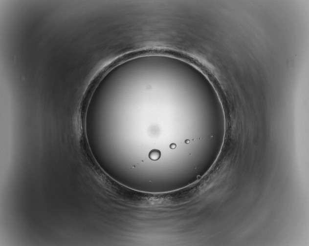 X0000096201271200801181334
