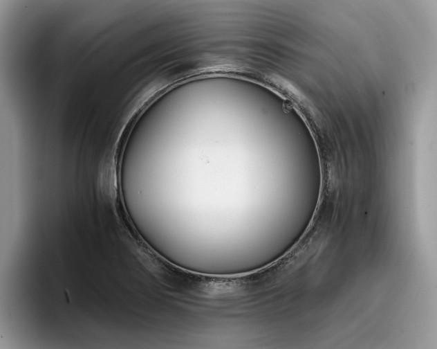 X0000096201274200801181334