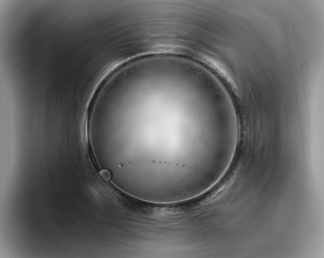 X0000096201275200801181334