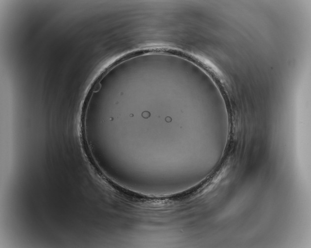 X0000096201279200801181334