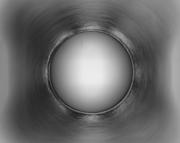 X0000096201282200801181333