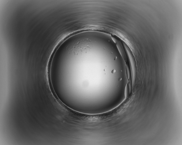 X0000096201283200801181333