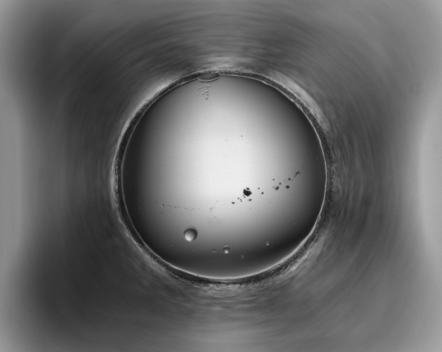 X0000096201285200801181333