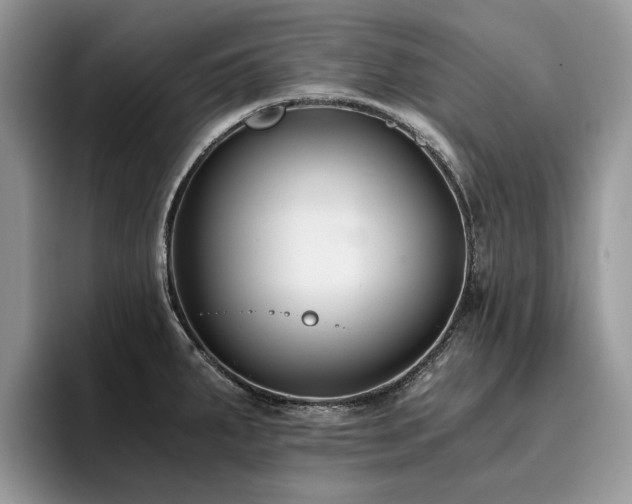 X0000096201287200801181333