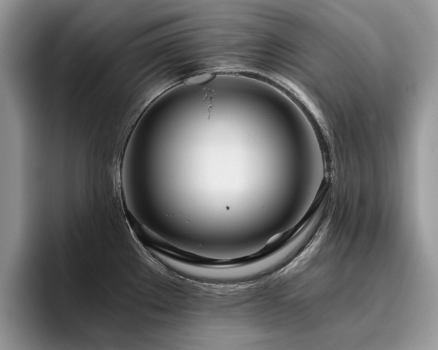 X0000096201289200801181333