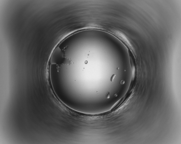 X0000096201292200801181333