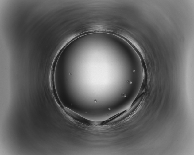 X0000096201293200801181333