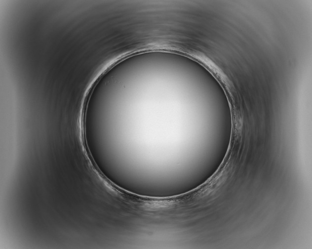 X0000096201294200801181333