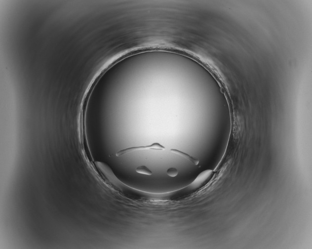 X0000096201295200801181333