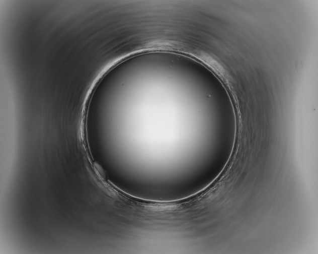 X0000096201296200801181333