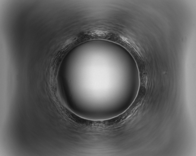 X0000096201297200801181333
