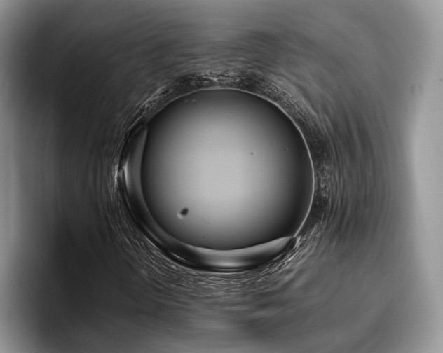 X0000096201298200801181333