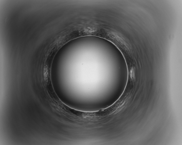 X0000096201299200801181333
