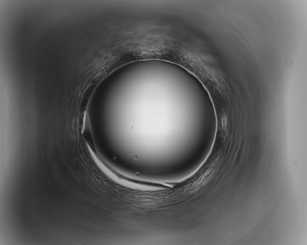 X0000096201300200801181333