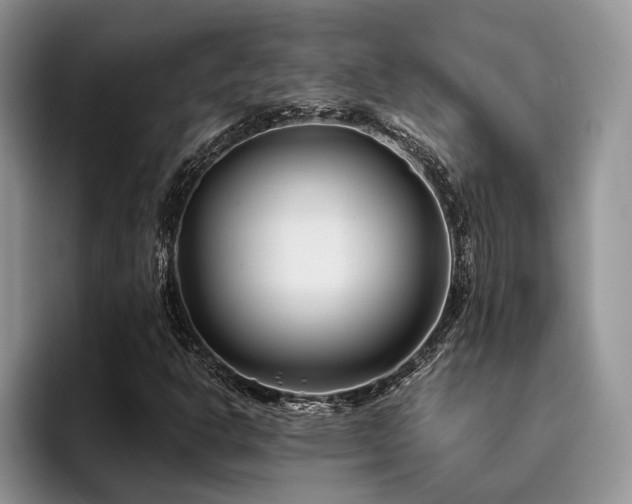 X0000096201302200801181333