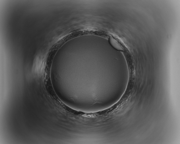 X0000096201303200801181333