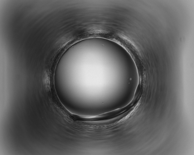 X0000096201305200801181333