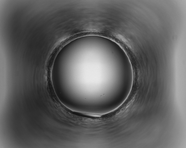 X0000096201307200801181333