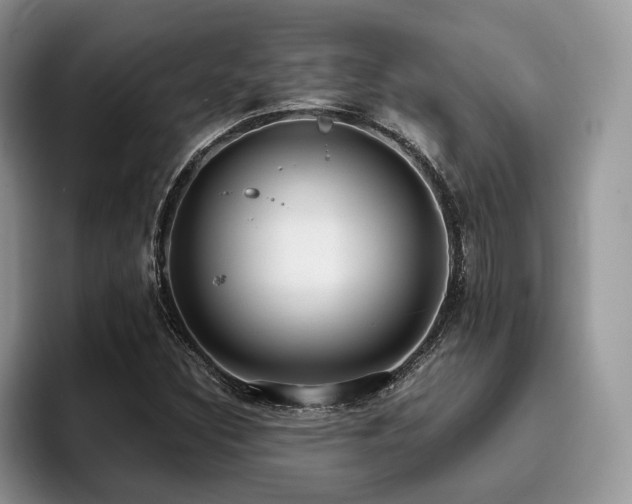 X0000096201308200801181333